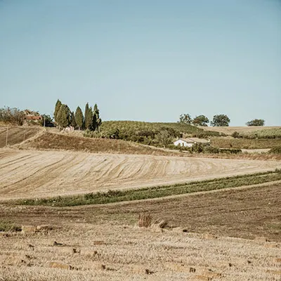 paesaggio-campi